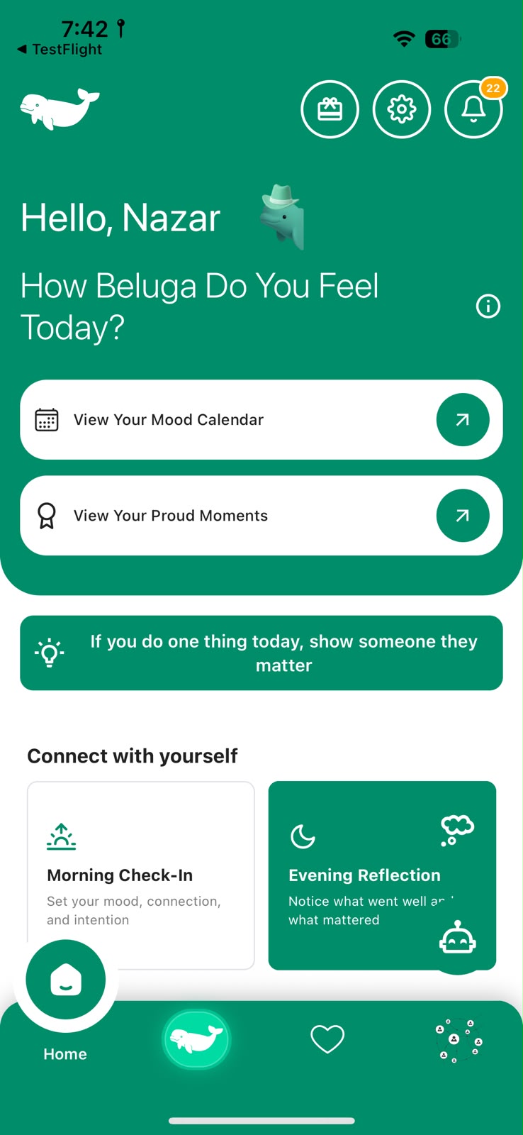 Home screen asking how Beluga you feel today, with morning check-in and evening reflection